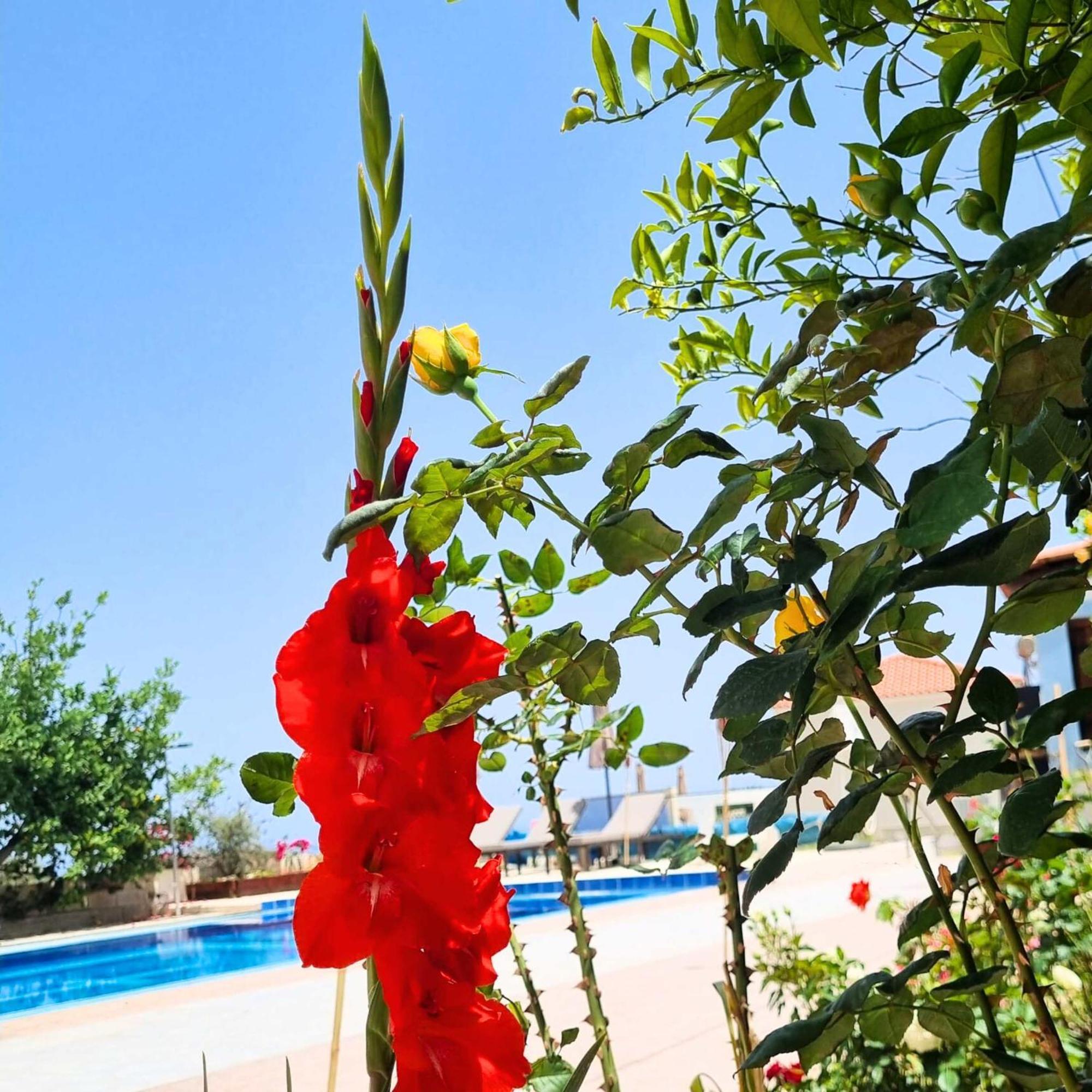 Infinity Wellness Boutique Hotel Afrata Exterior photo